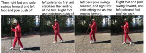 photo showing what same leg arm use with walking staffs